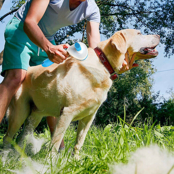 Self-Cleaning Pet Grooming Comb